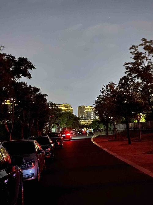 灯火阑珊处的思辨 再探城市的“路灯问题”